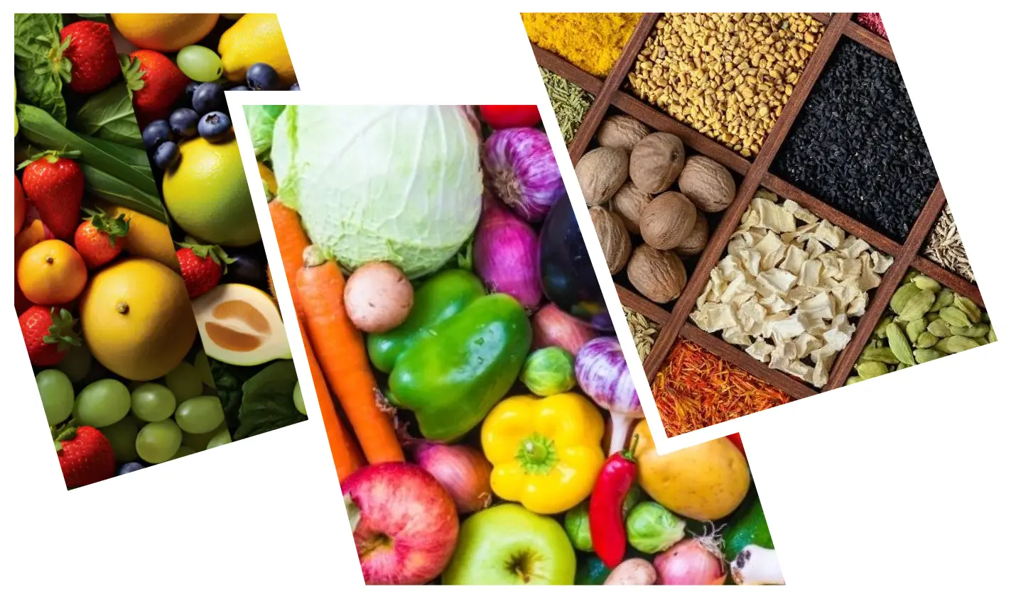 nutridry-banner-image